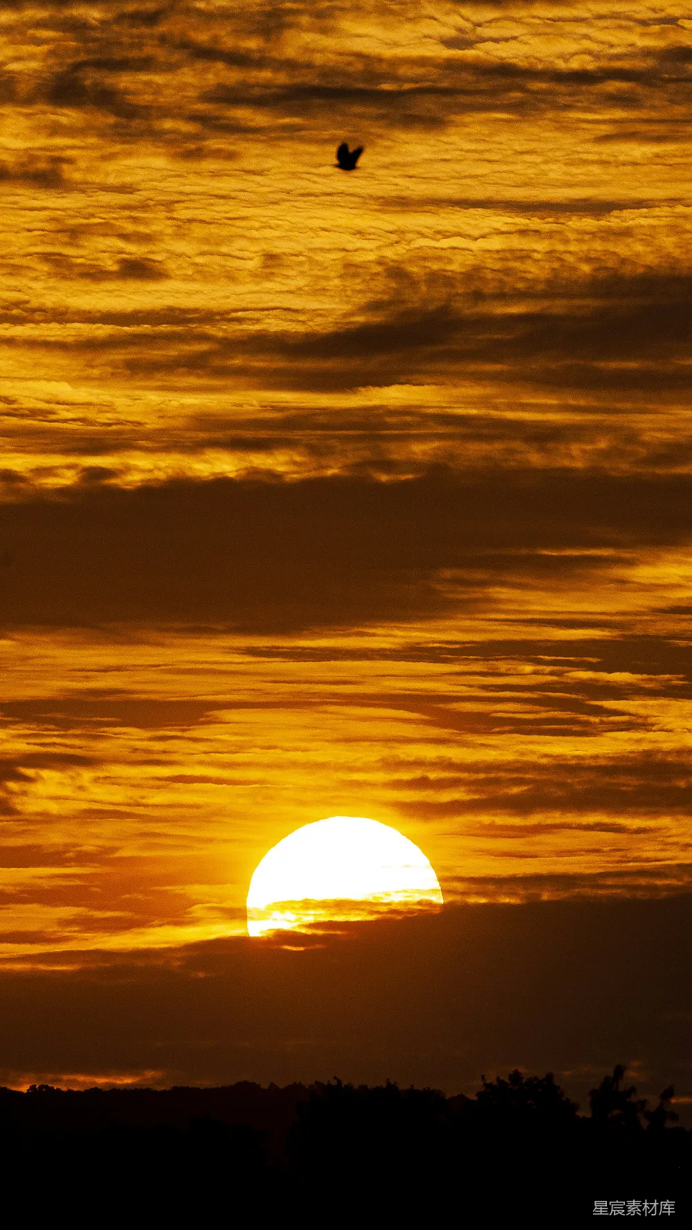 高清摄影 夕阳映照在云层之上