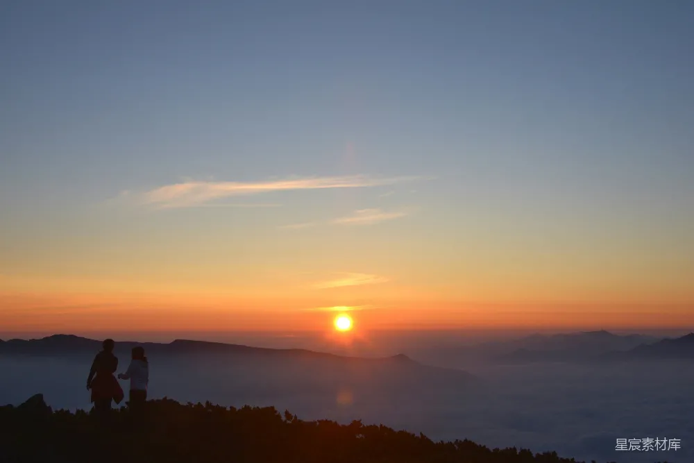 高清摄影 夕阳下的树影轮廓
