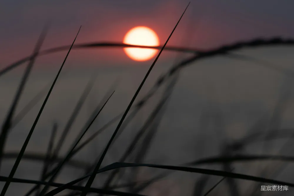 高清摄影 天边的水面落下夕阳