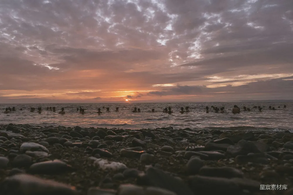 高清摄影  一群人在海边 sunset 游泳