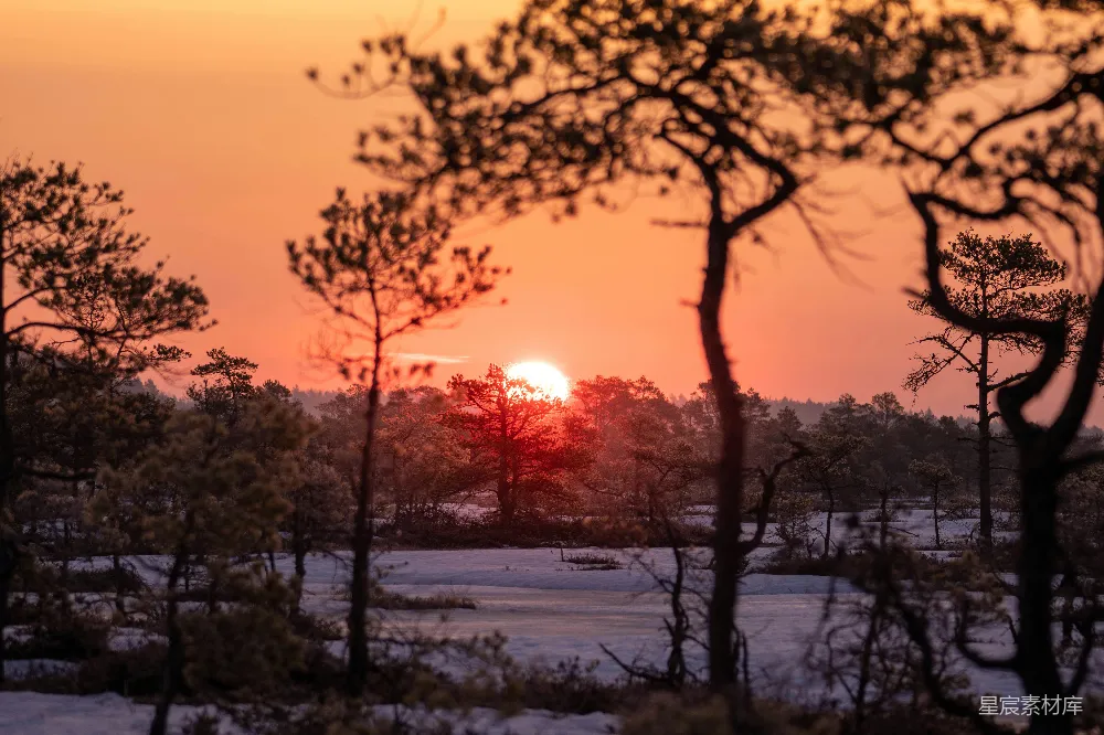高清摄影 夕阳映照在一片雪地之上