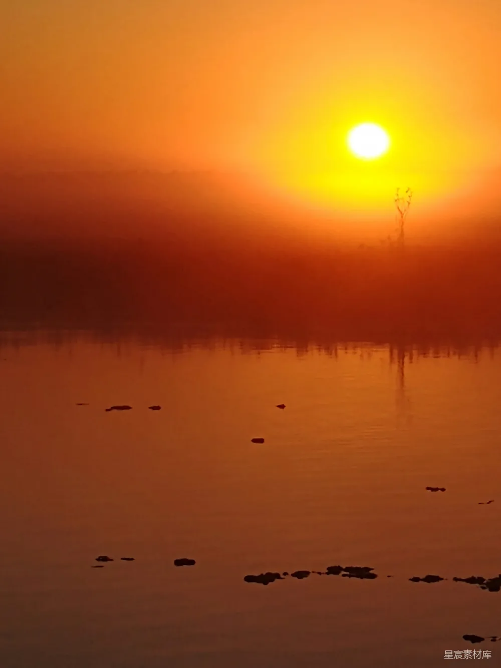 高清摄影 夕阳下水面上的鸟影轮廓