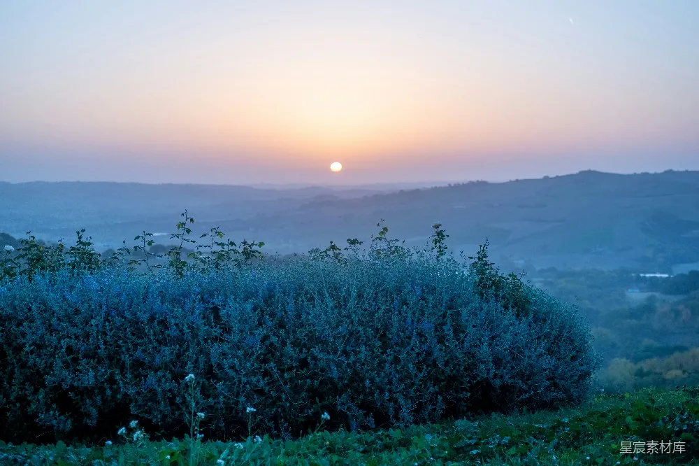 高清摄影 有树的风景与夕阳