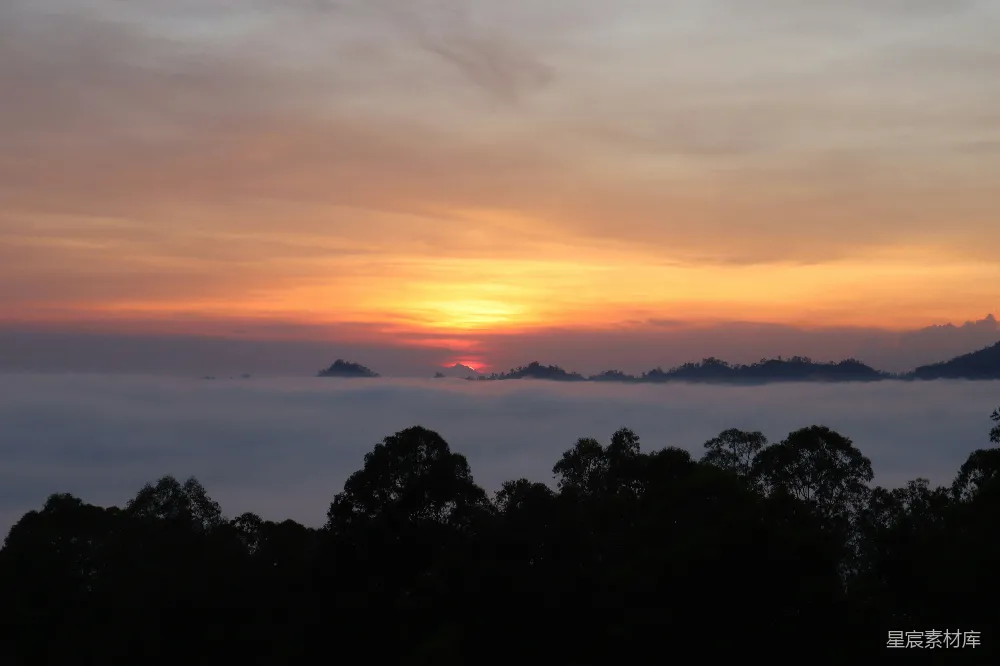 高清摄影 山间薄雾中的一抹 sunrise 落在一片树木上。