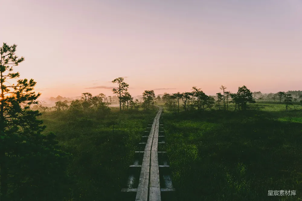 高清摄影 夕阳下灰色混凝土路旁的绿色草地