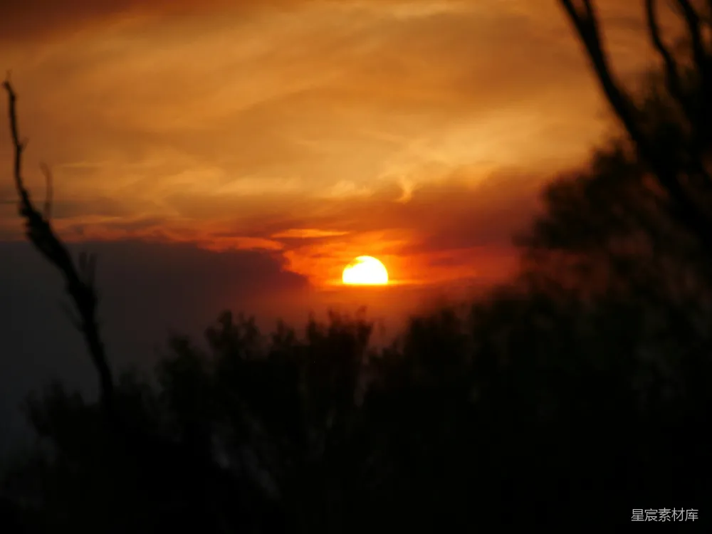 高清摄影 夕阳落在一些树后