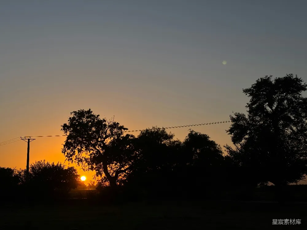 高清摄影 轮廓分明的树木和电线杆映衬在灿烂的夕阳天空中。