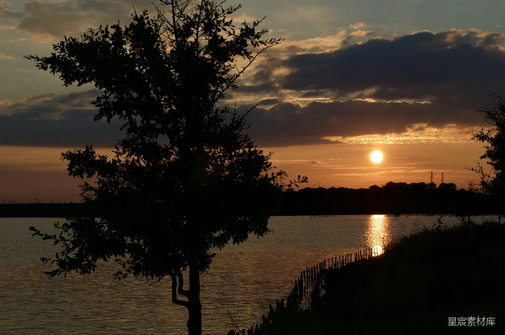高清摄影 夕阳下树木的轮廓近水处