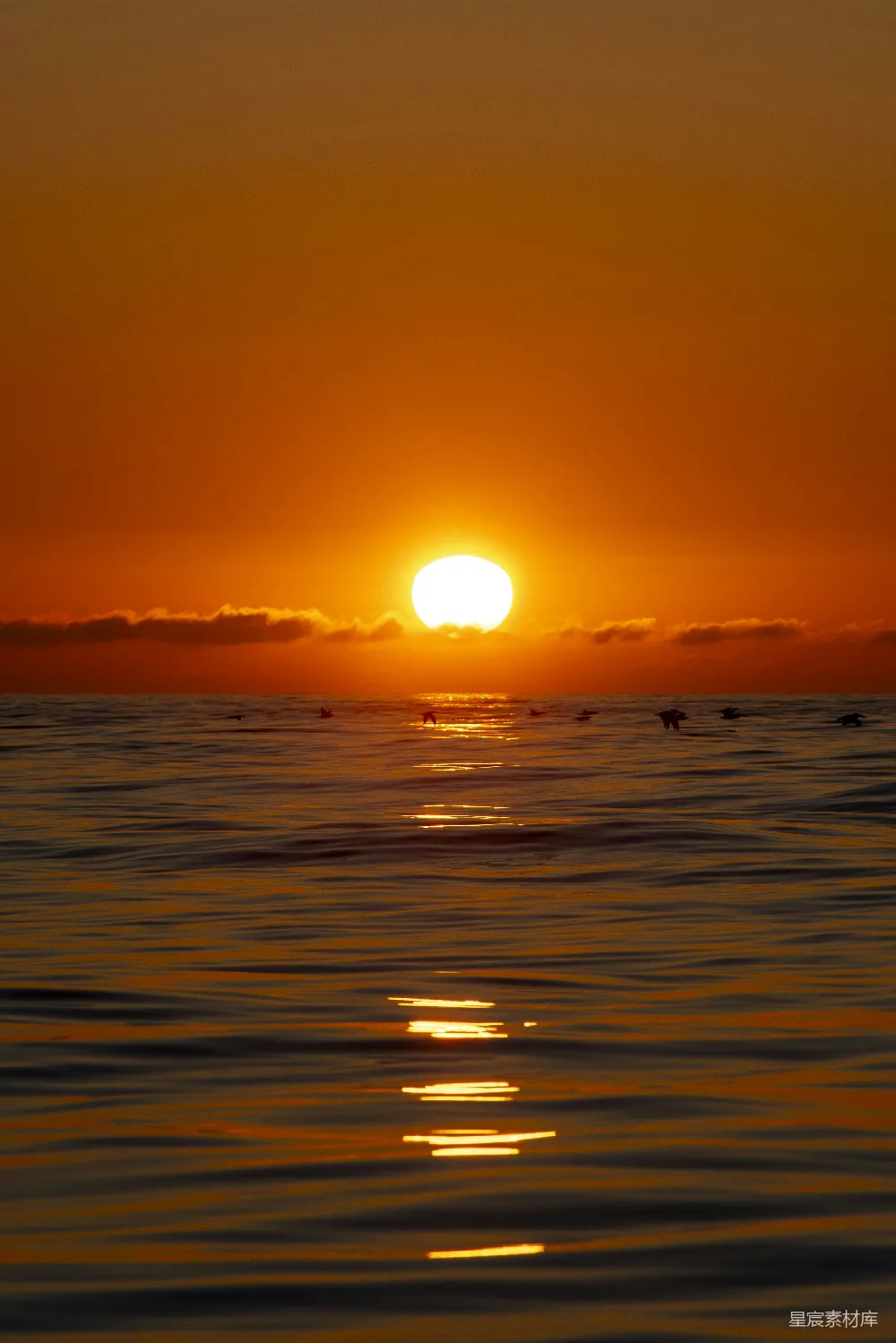 高清摄影 夕阳映照在海面上，染上了一抹橙色的光辉。