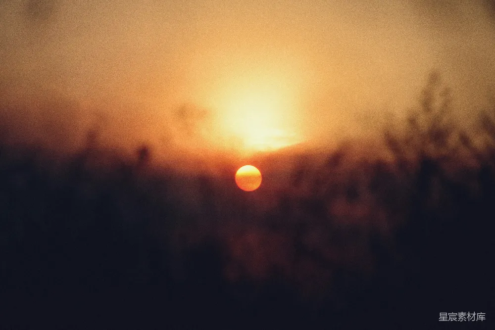 高清摄影 夕阳穿过一片模糊的暗绿色树林。