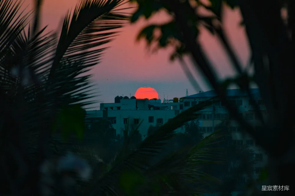 高清摄影 夕阳西下，一座以棕榈树为装饰的城市。