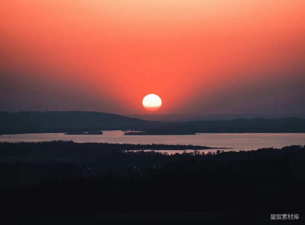 高清摄影 夕阳下树的剪影
