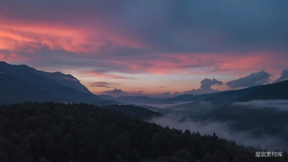 高清摄影 夕阳下树的轮廓