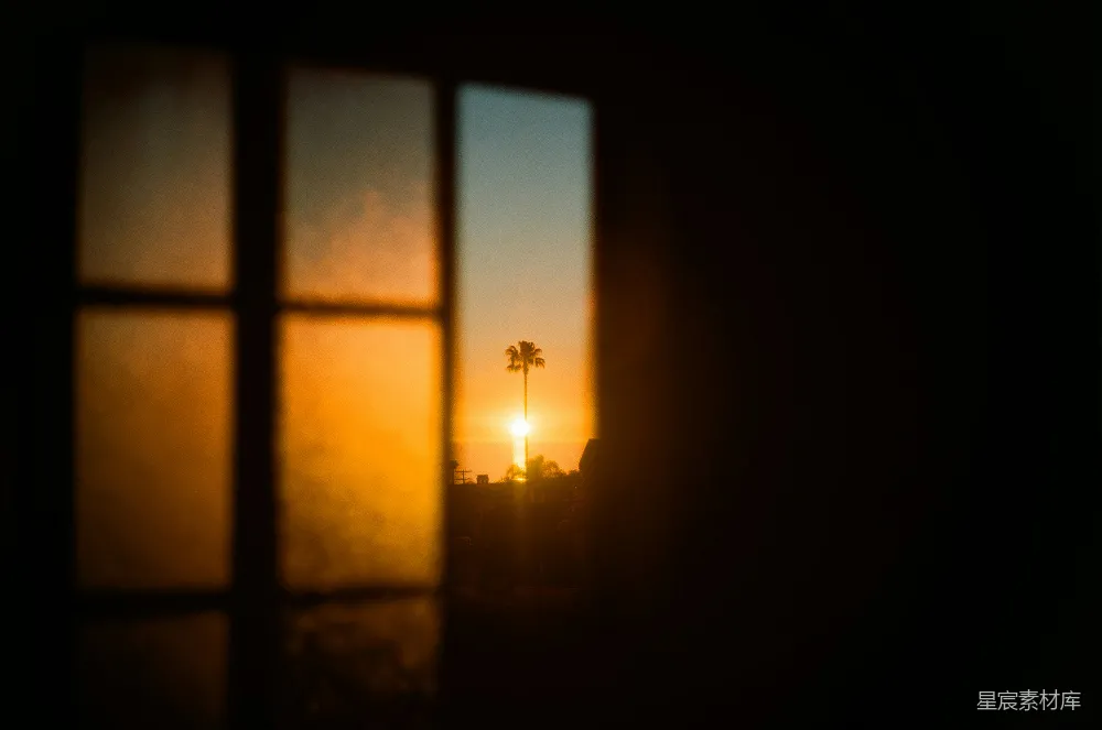 高清摄影 夕阳透过一扇窗，可以看到一棵棕榈树。