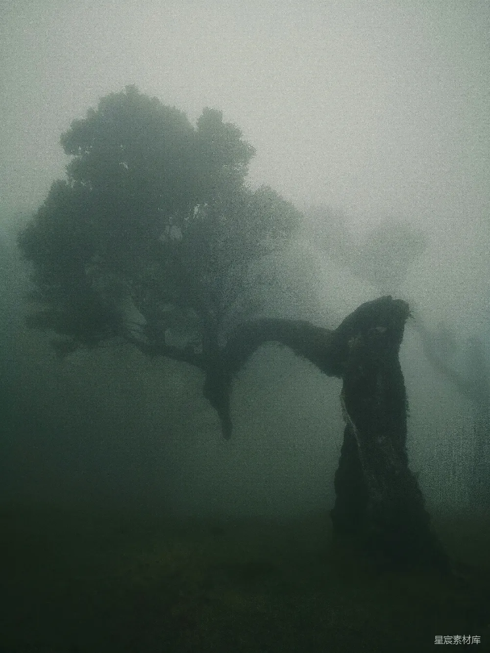 高清摄影 水中的男子轮廓