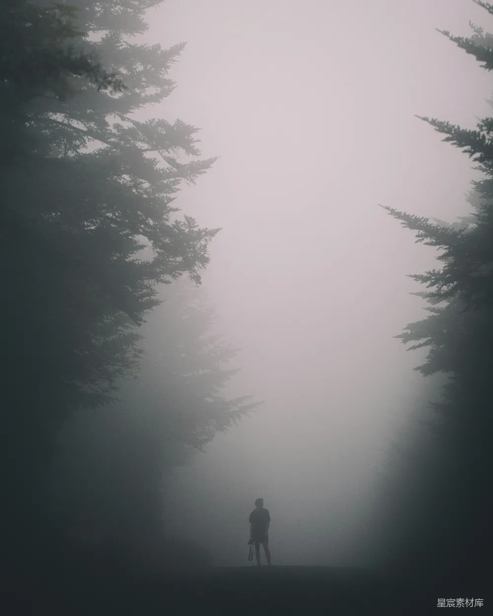 高清摄影 站在树旁的人
