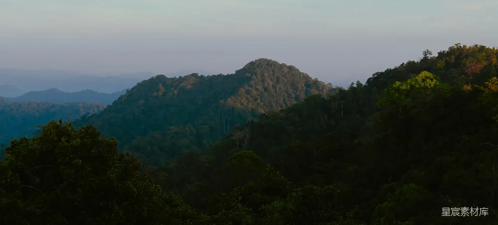 高清摄影 前景中有树木的山峦景色