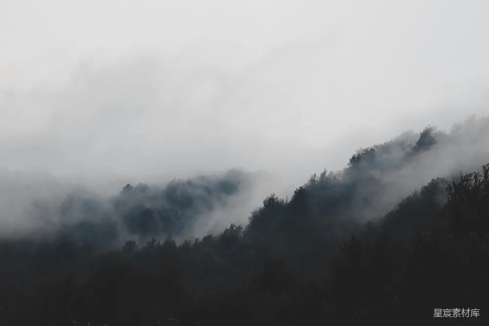 高清摄影 白云下的绿树