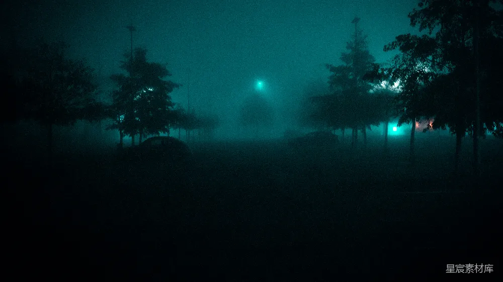 高清摄影 一个有树木和街灯的雾夜