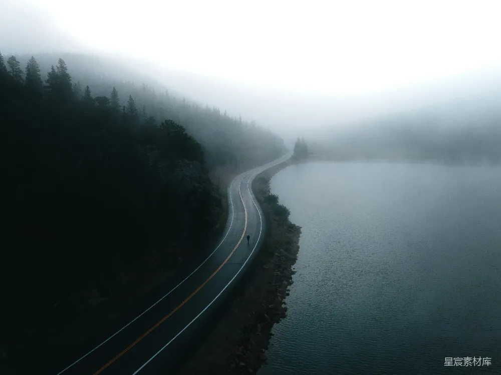 高清摄影 一条布满两侧树木的道路