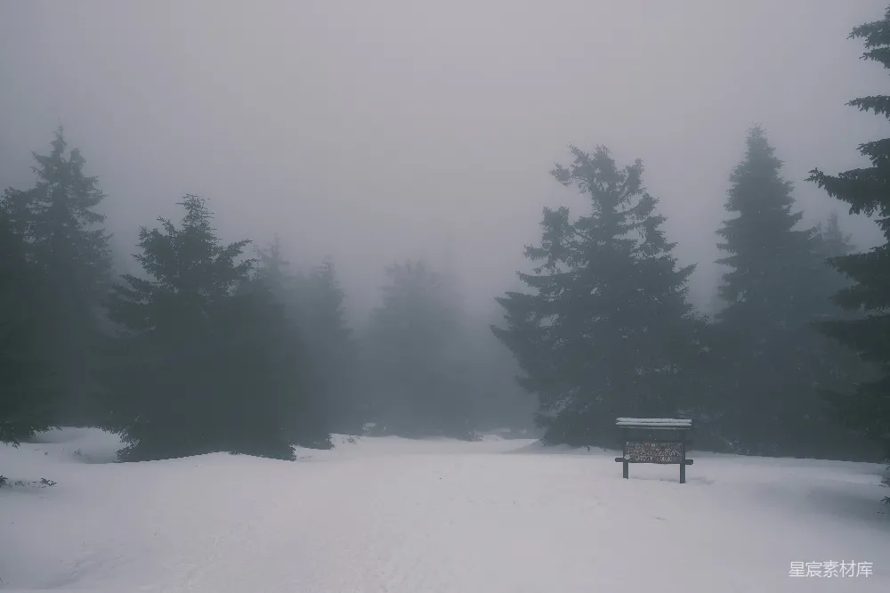 高清摄影 一棵木椅坐在覆盖着积雪的森林中央。