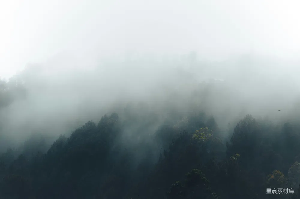 高清摄影 前景中有树的朦胧山峦