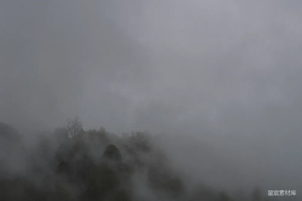 高清摄影 一座被雾环绕的山坡，背景是树木。