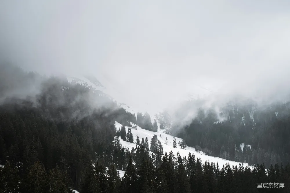 高清摄影 覆盖着白雪的山上的翠绿松树
