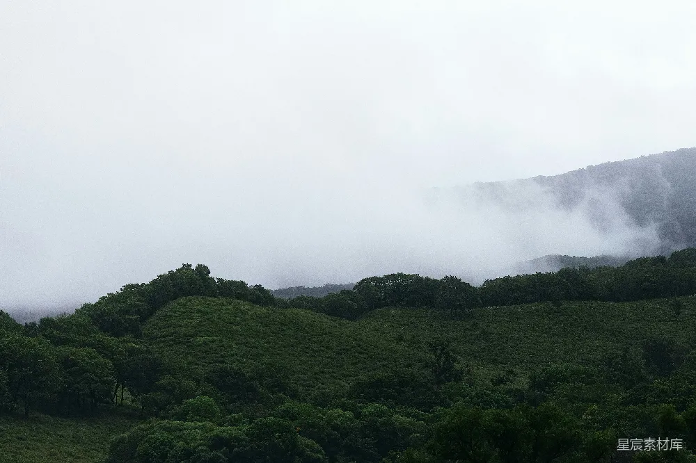 高清摄影 山中绿树映衬着白天的白云
