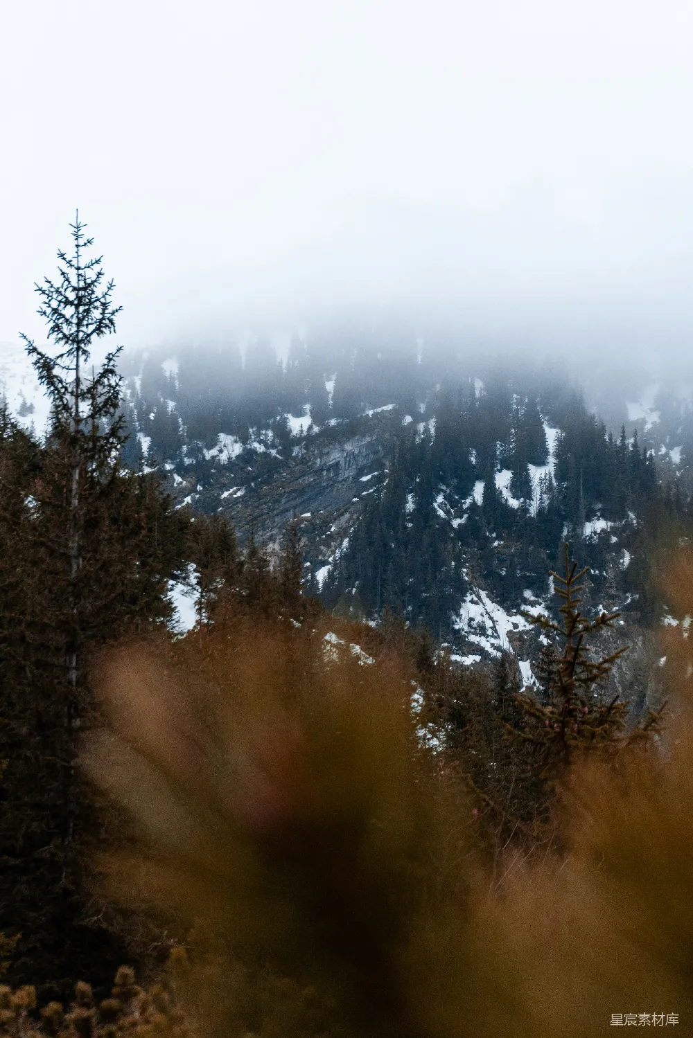 高清摄影 白天绿树环绕着被白雪覆盖的山峦