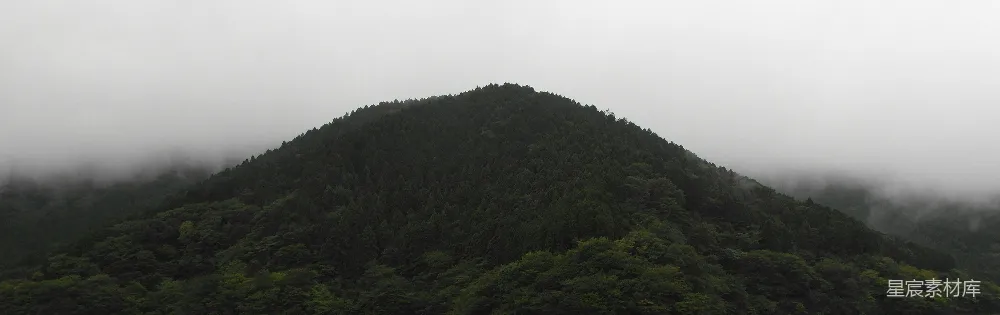 高清摄影 一片雾蒙蒙的山林