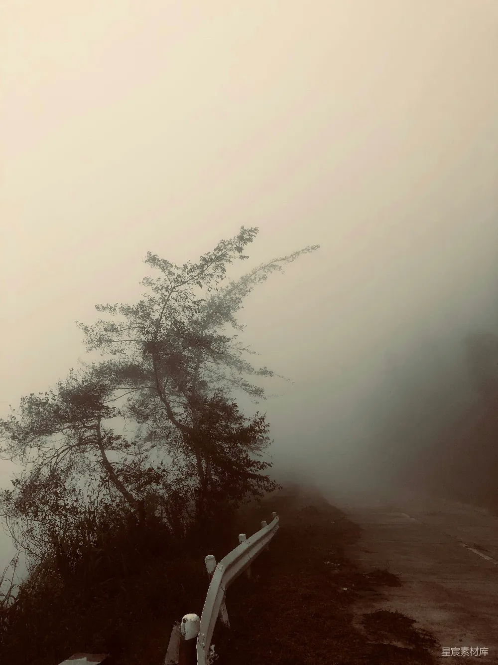 高清摄影 被雾环绕的道路