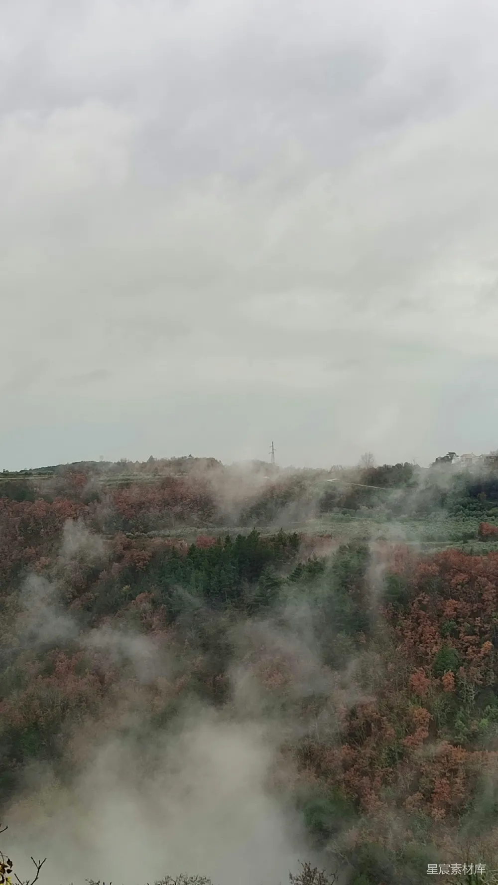 高清摄影 前景中树木和灌木丛的雾气缭绕景色