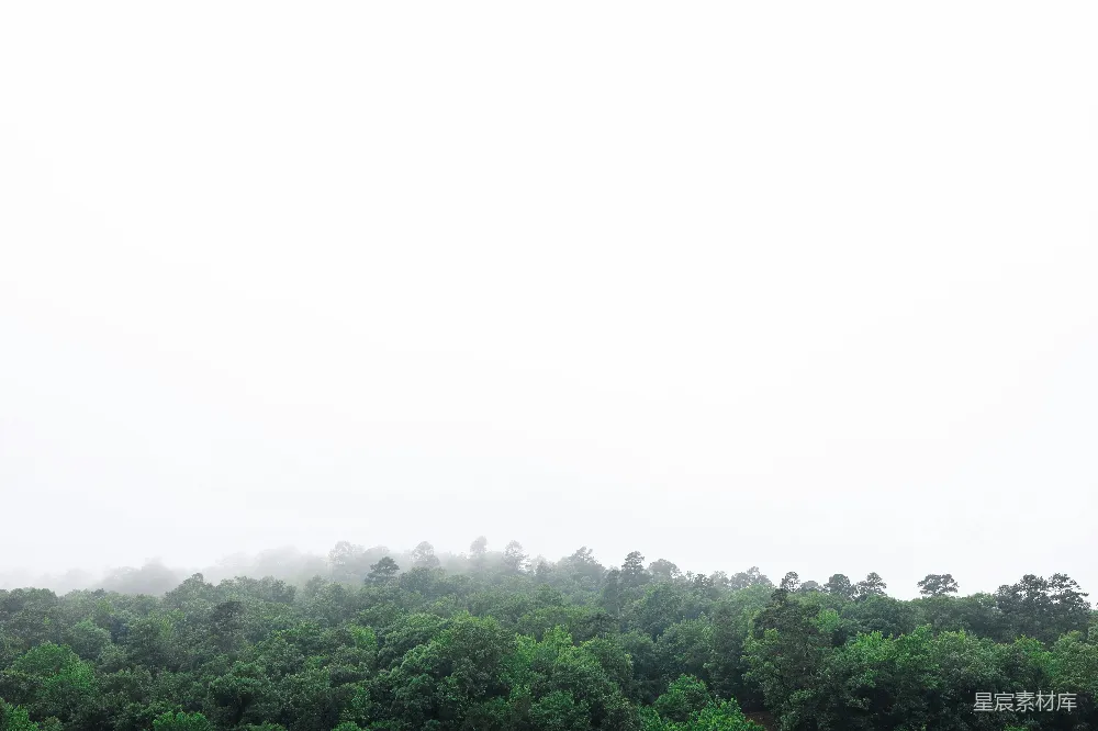 高清摄影 背景有一片绿油油的大草地，树木环绕其旁。