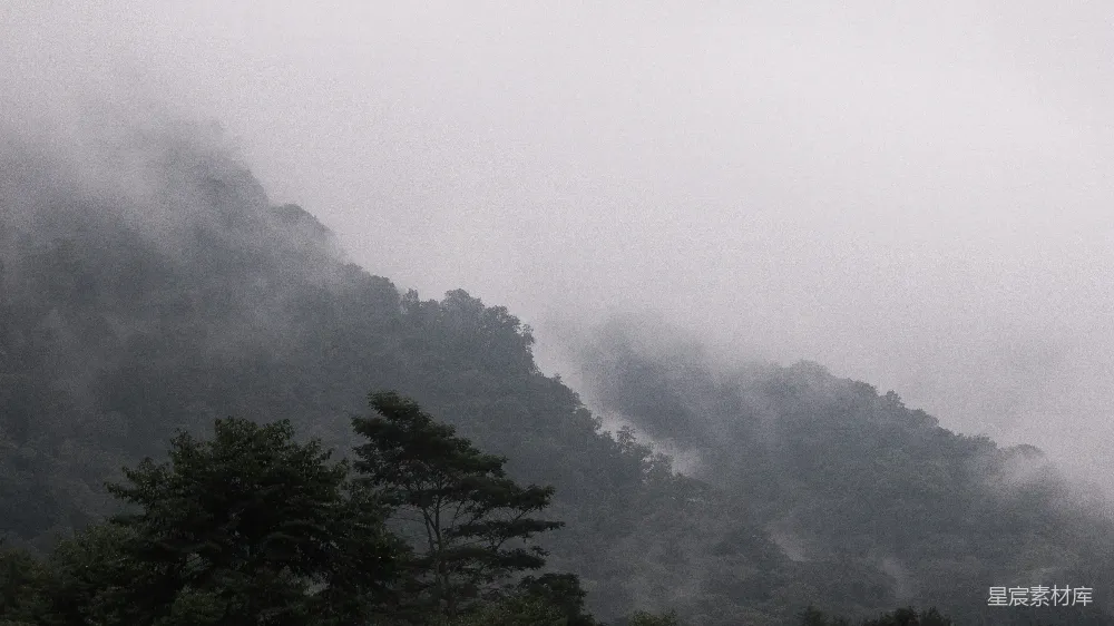 高清摄影 一座被雾和云层覆盖的山峦，前景中有树木。