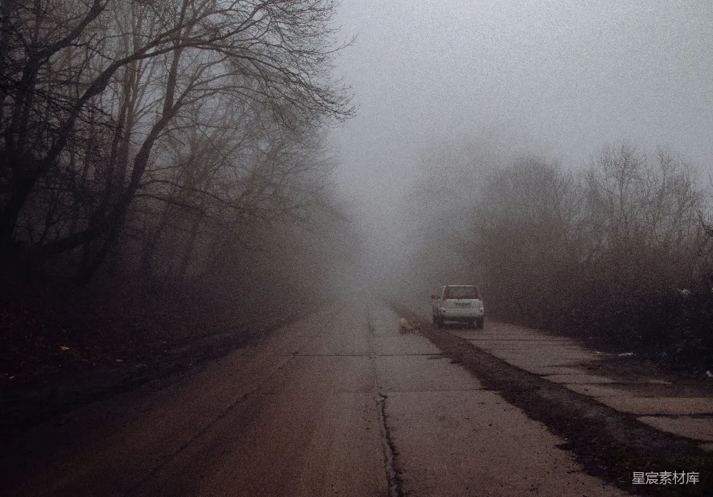 高清摄影 在雾中一辆车在路上行驶