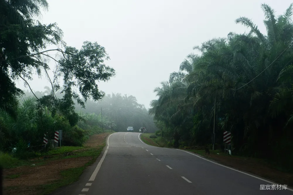 高清摄影 路边有树的道路