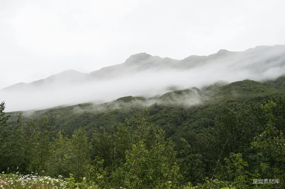 高清摄影 山峦间低垂的云雾景象