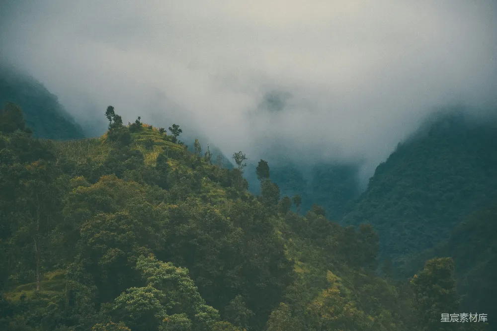 高清摄影 云覆盖的山峰