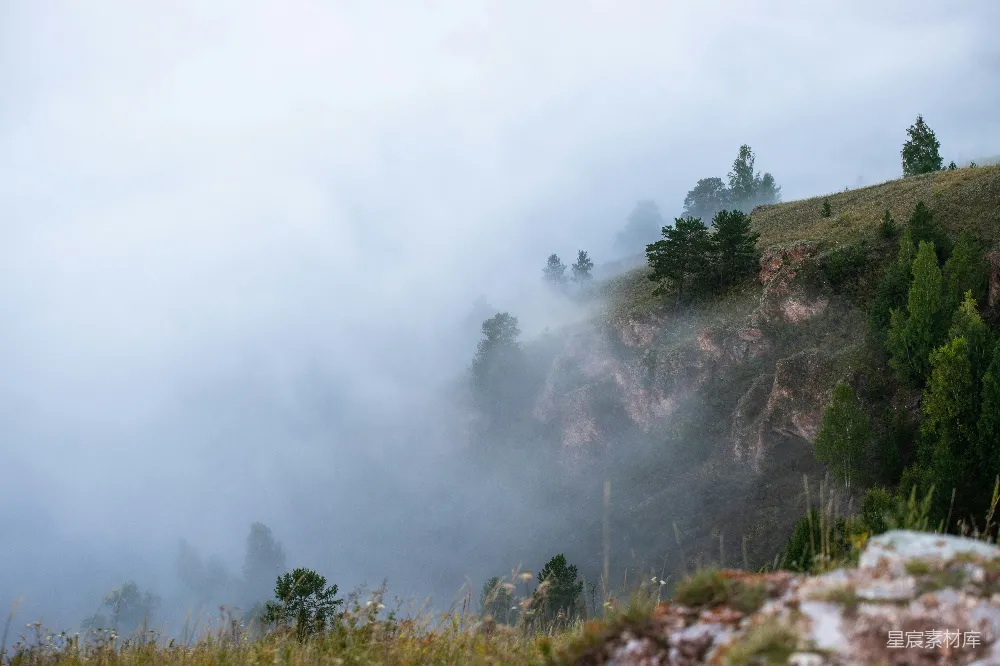 高清摄影 山间雾气缭绕的景色，树木和岩石交错
