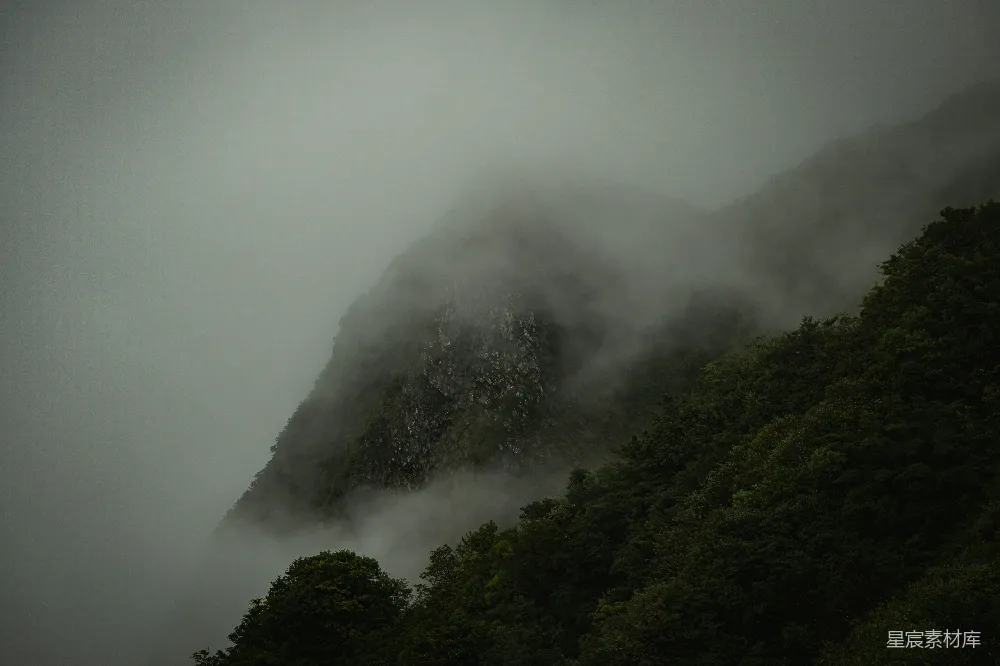 高清摄影 远处山峦被雾气覆盖，前景有树木。