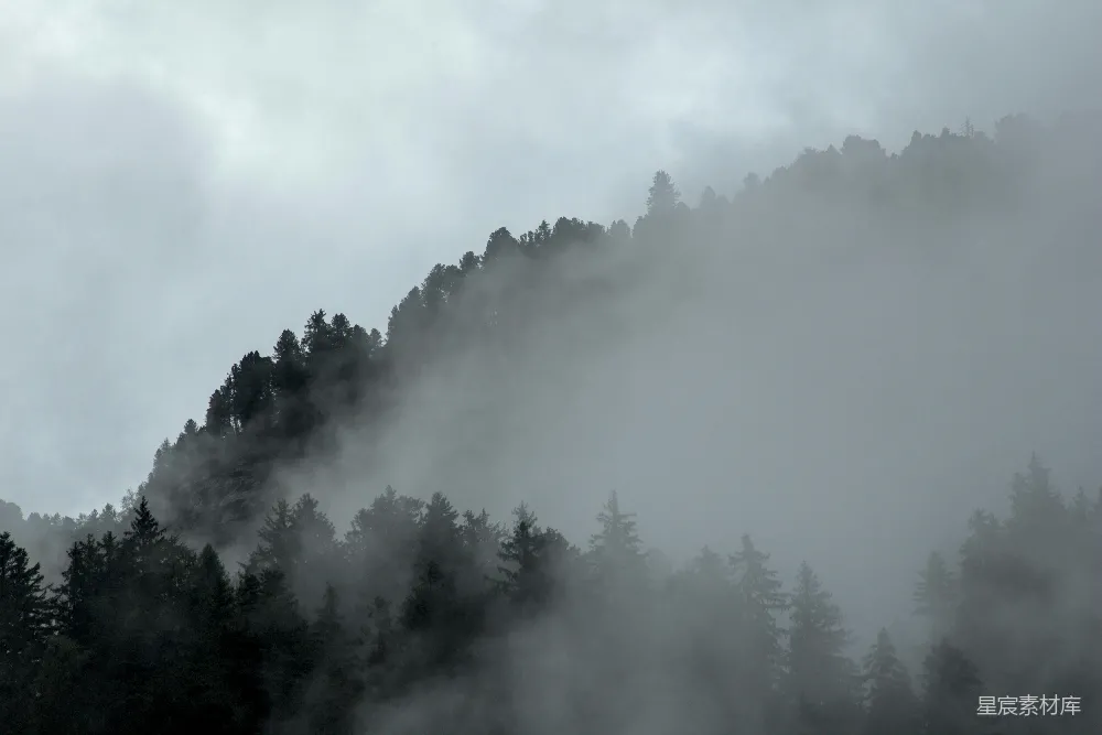 高清摄影 一座被雾笼罩的山峰，前景中有树木。
