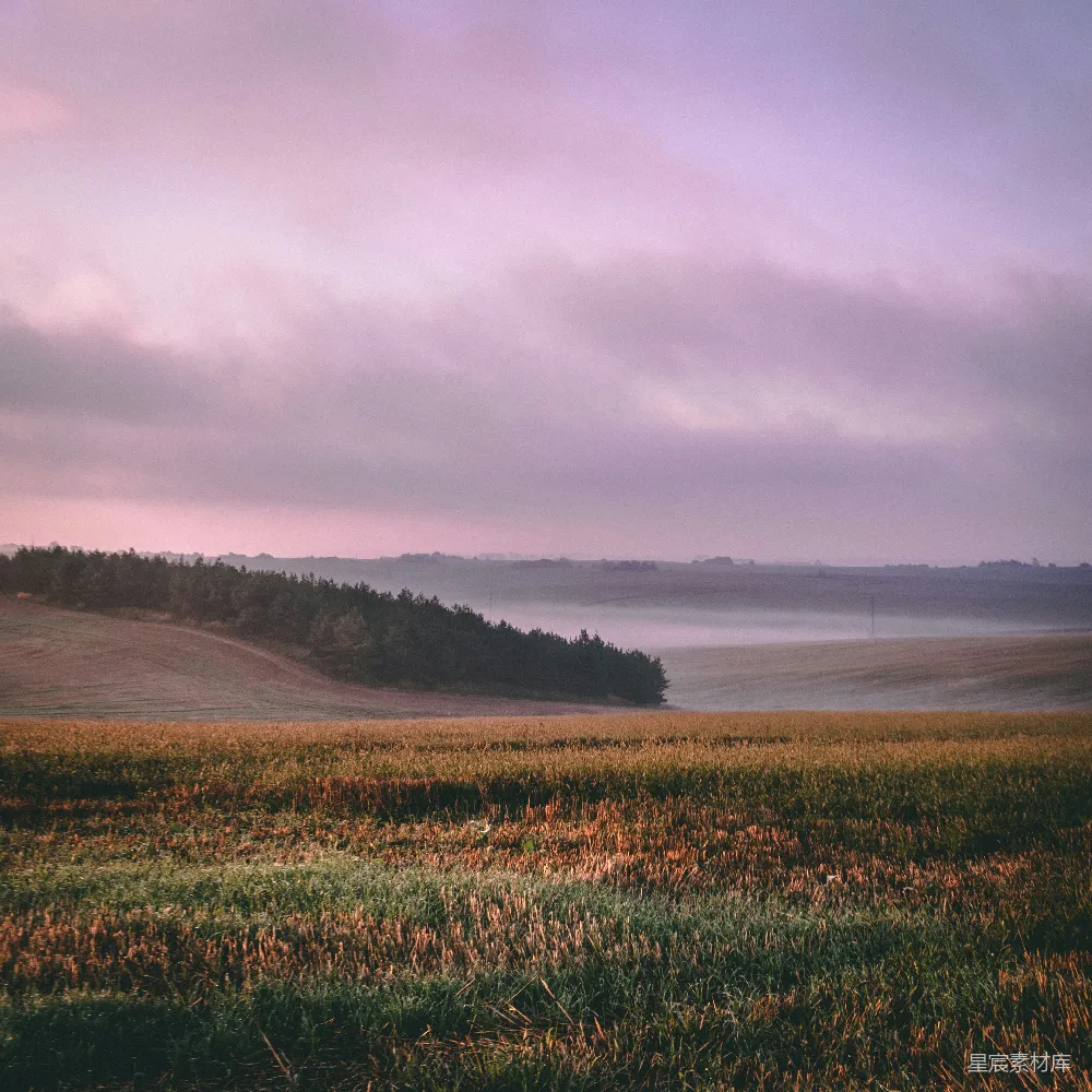 高清摄影 白天绿草 fields under cloudy sky