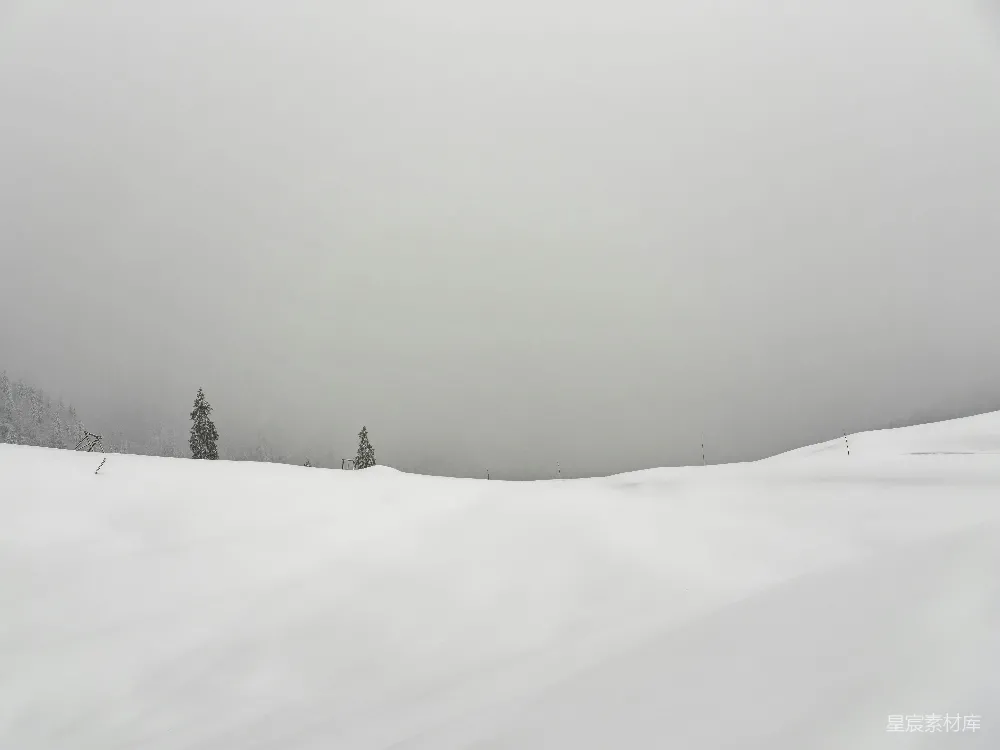 高清摄影 滑雪者在雪地上的画面