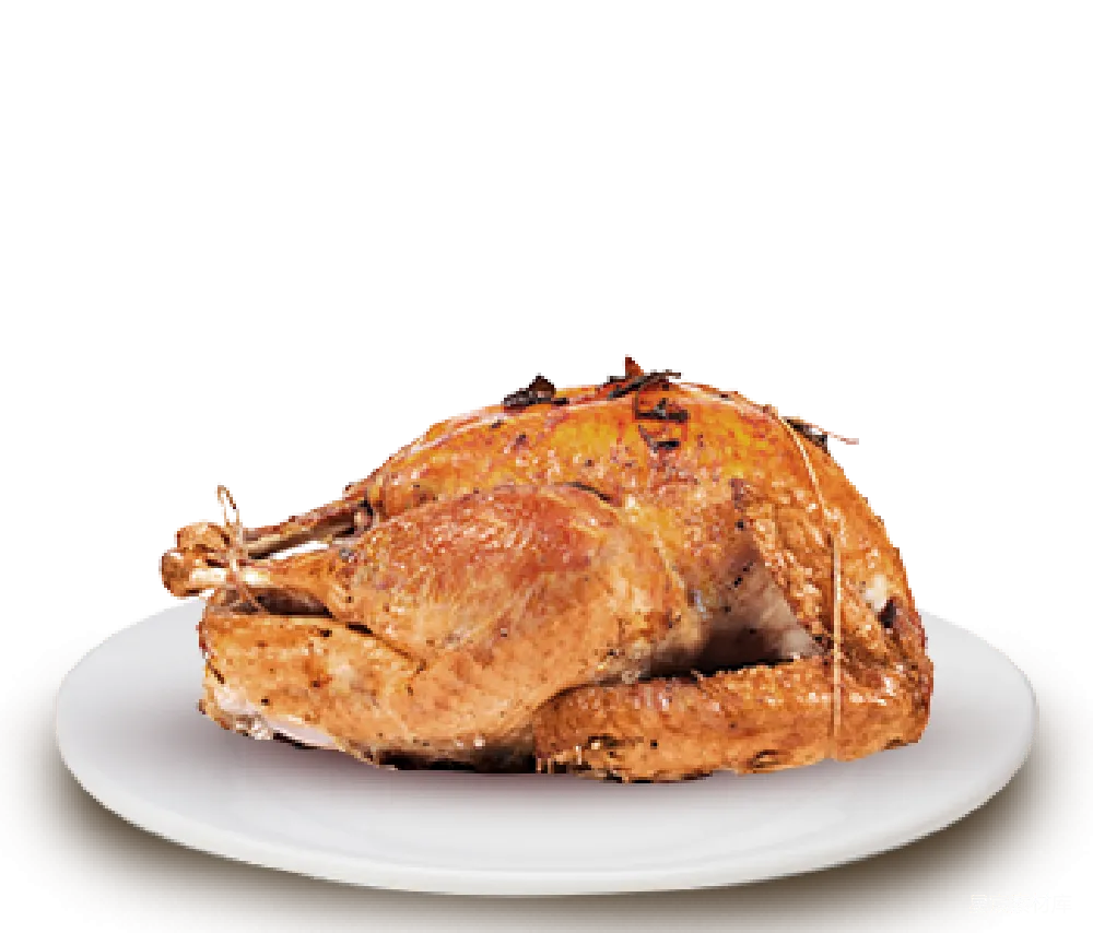 元素素材 元素 fried