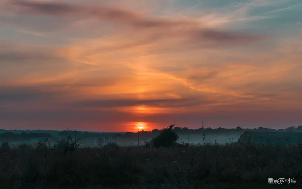 高清摄影 夕阳下的绿草 fields