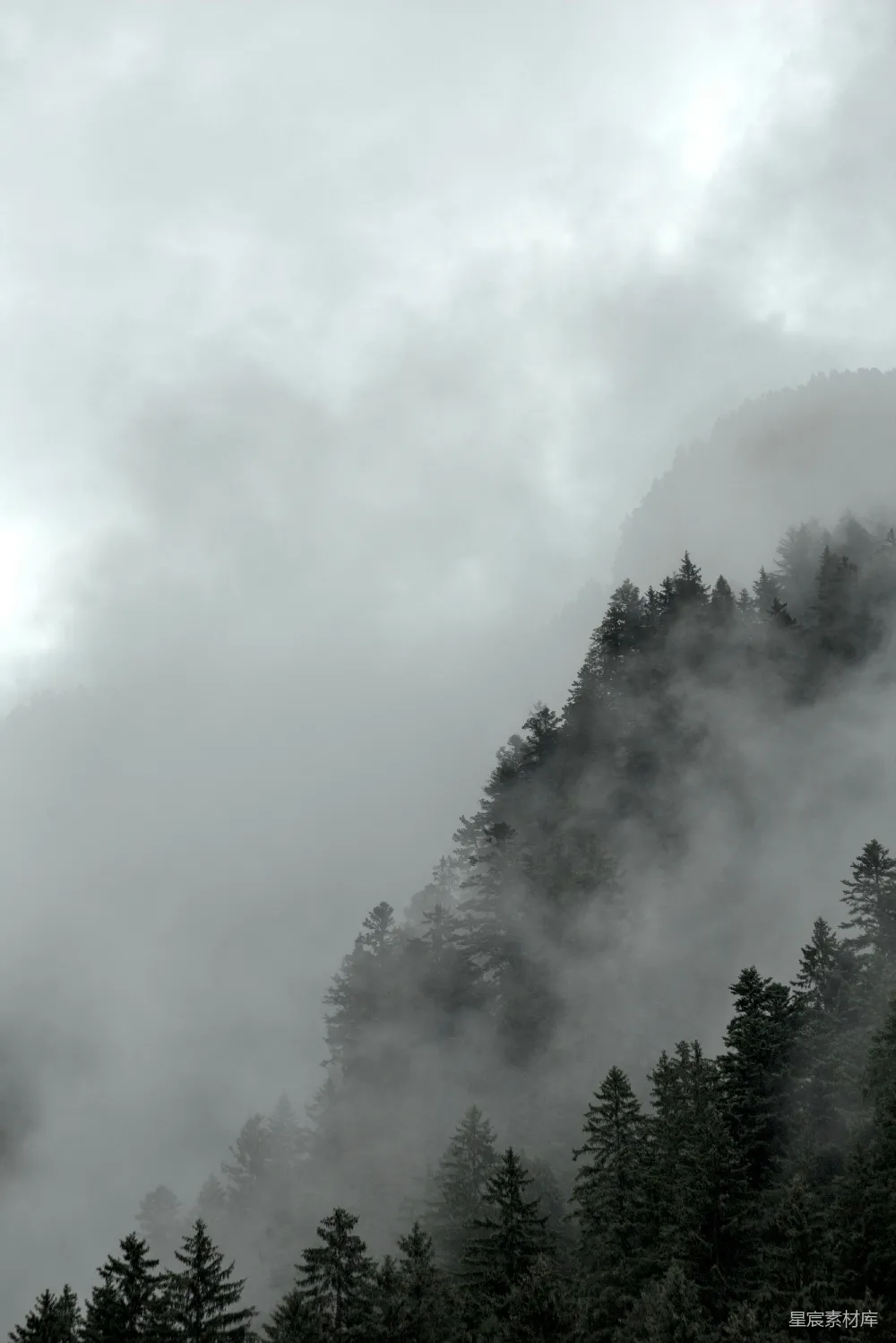 高清摄影 山峦被雾气覆盖，前景有树木。