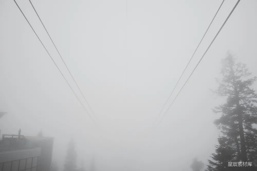 高清摄影 白日绿树下的蓝天