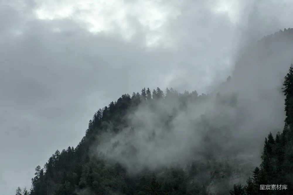 高清摄影 雾天里山林覆盖的一道风景线