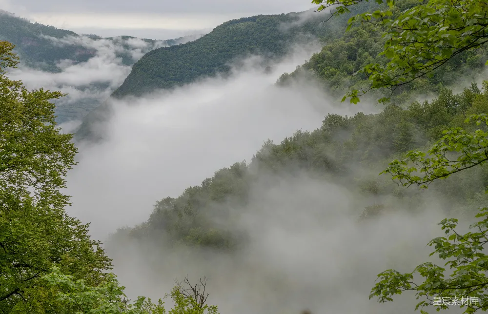高清摄影 山谷里有树木和山峦在背景中，雾气缭绕。